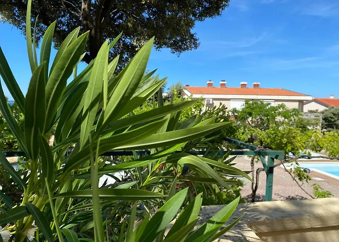 Ana 1 Apartament